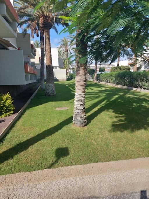 Lovely Apartment With Pool Коста-дель-Силенцио Экстерьер фото